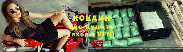 СК Горно-Алтайск