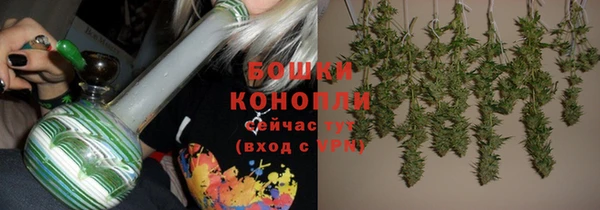 СК Горно-Алтайск