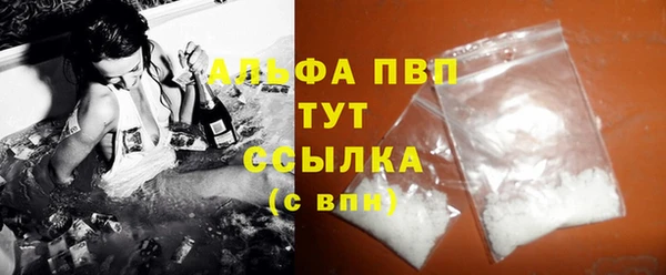СК Горно-Алтайск