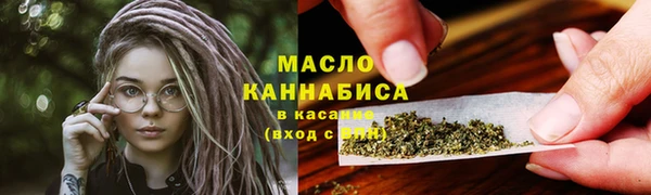 гидра Горнозаводск