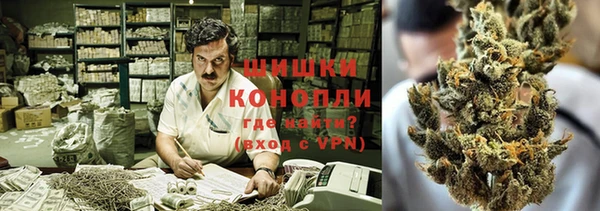 гидра Горнозаводск