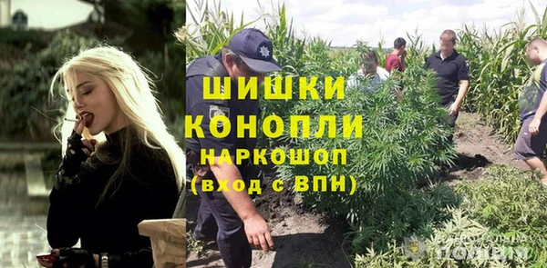 гидра Горнозаводск