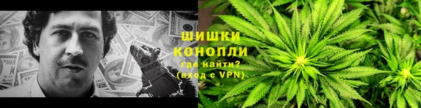 гидра Горнозаводск
